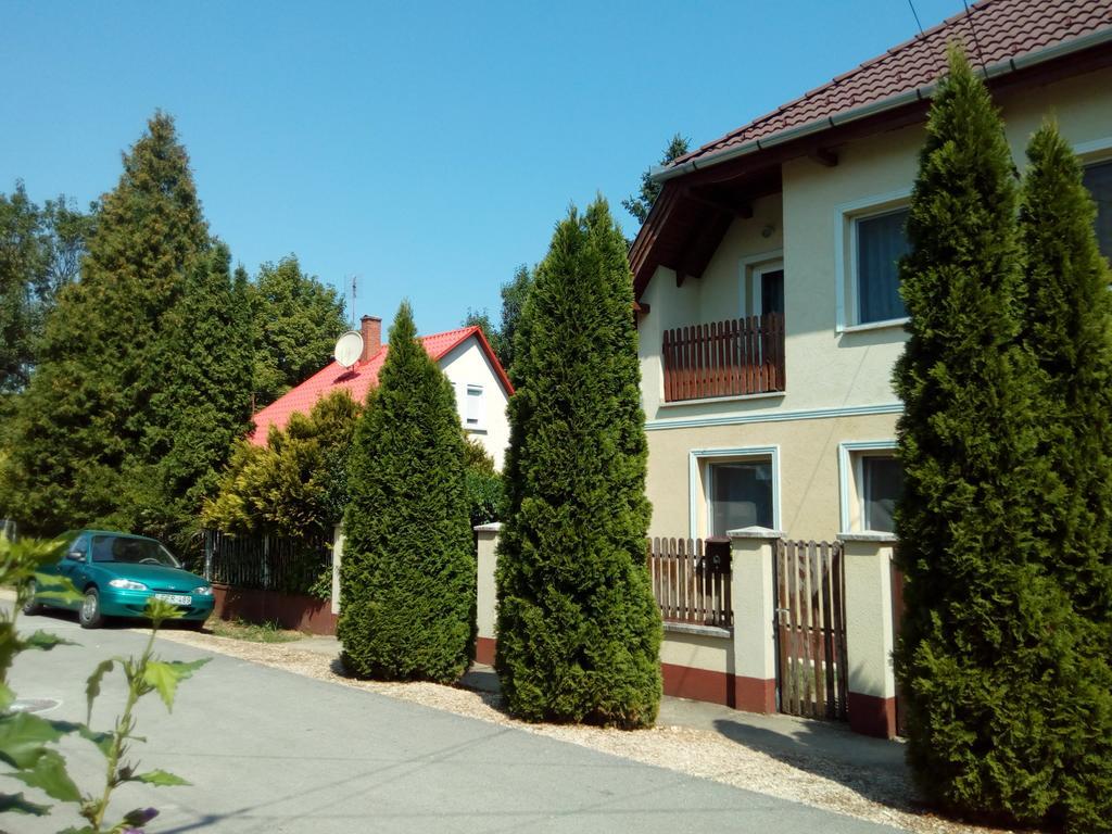 Eva Vendeghaz Guesthouse Хайдусобосло Экстерьер фото